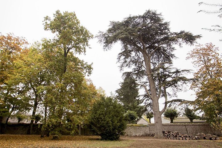 Le parc du Manoir Domaine de la Motte 04